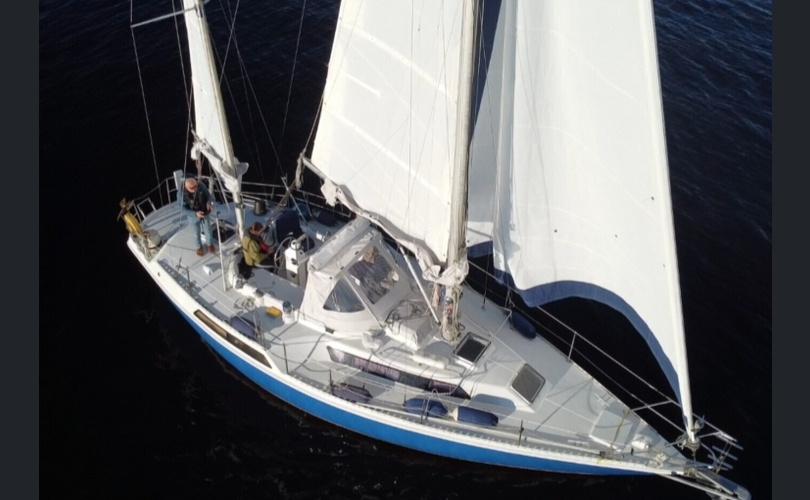 Gib-sea 35 cc ketsi-kuva-17